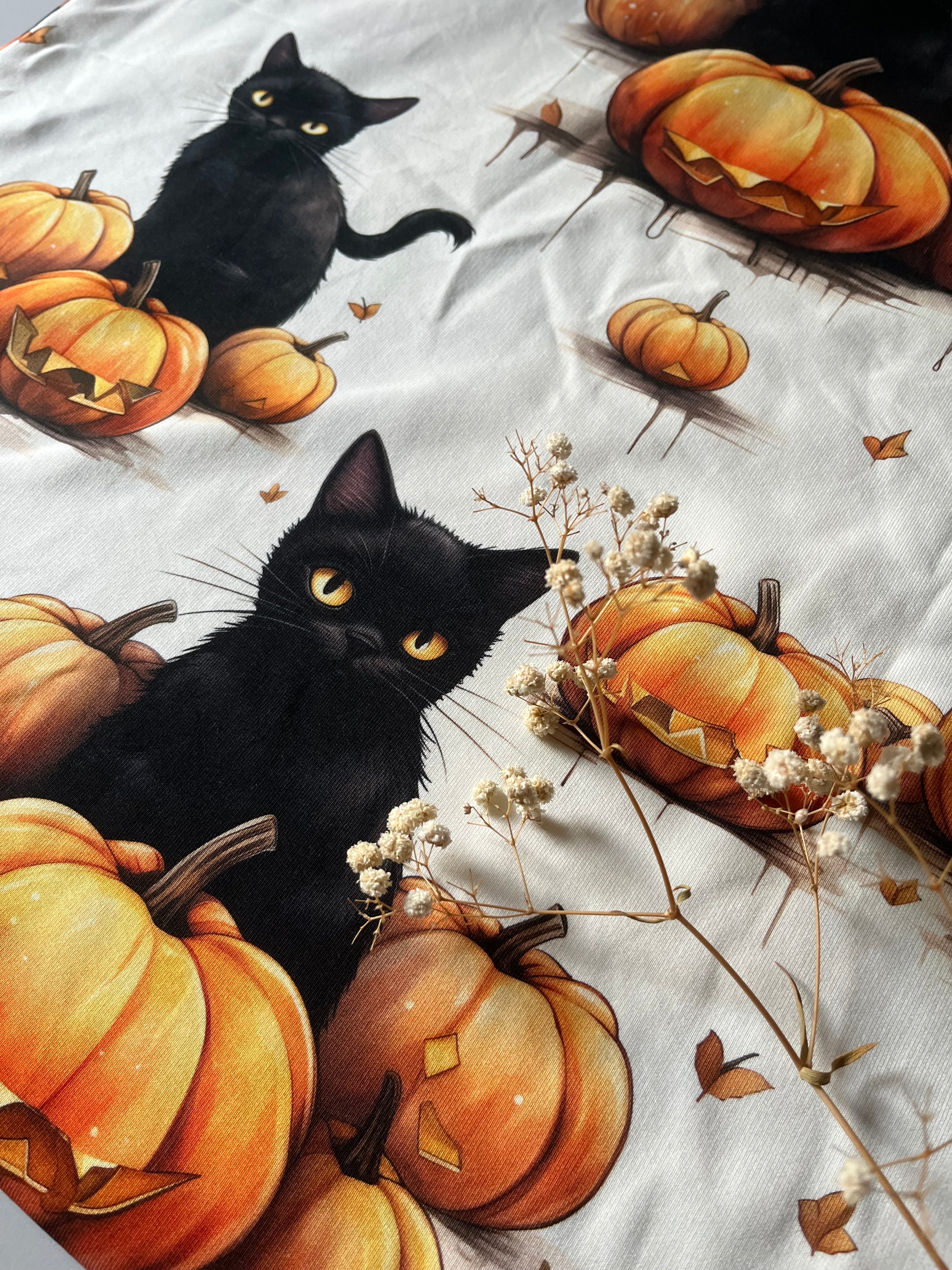Pumpkin Cat